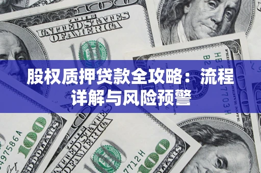 武汉股权质押贷款全攻略：流程详解与风险预警