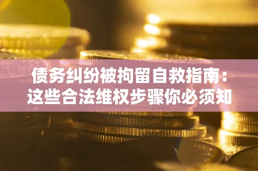 武汉债务纠纷被拘留自救指南：这些合法维权步骤你必须知道！