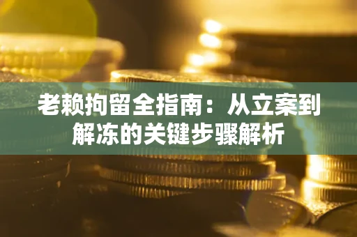 武汉老赖拘留全指南：从立案到解冻的关键步骤解析
