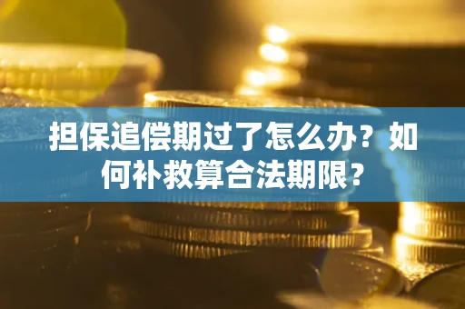 武汉担保追偿期过了怎么办？如何补救算合法期限？