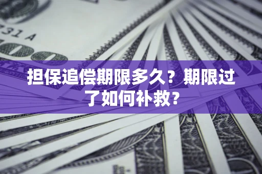 武汉担保追偿期限多久？期限过了如何补救？