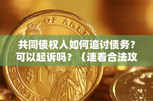 武汉共同债权人如何追讨债务？可以起诉吗？（速看合法攻略）