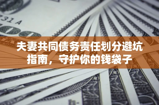 武汉夫妻共同债务责任划分避坑指南，守护你的钱袋子
