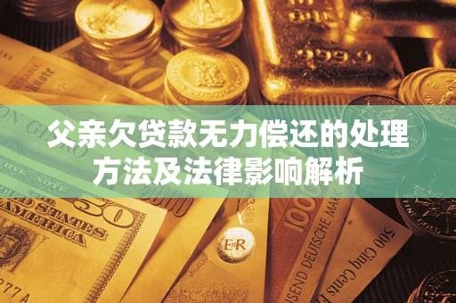 武汉父亲欠贷款无力偿还的处理方法及法律影响解析