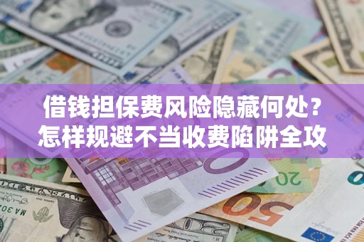 武汉借钱担保费风险隐藏何处？怎样规避不当收费陷阱全攻略！