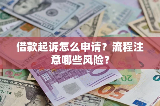 武汉借款起诉怎么申请？流程注意哪些风险？