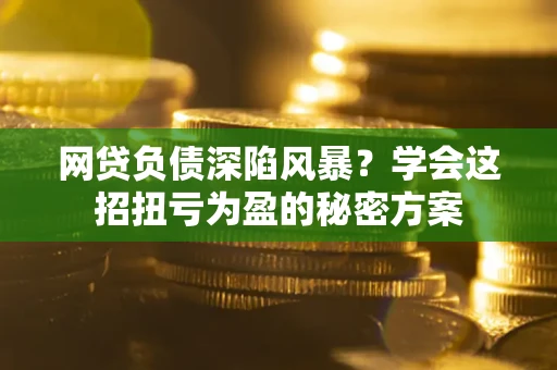 武汉网贷负债深陷风暴？学会这招扭亏为盈的秘密方案
