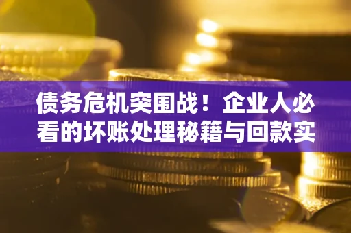 武汉债务危机突围战！企业人必看的坏账处理秘籍与回款实战指南
